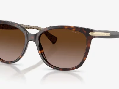 Coach HC8132 Eyeglasses Mississauga Ontario