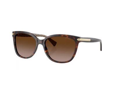 Coach HC8132 Sunglasses
