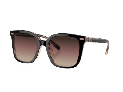 Coach HC8381U Sunglasses